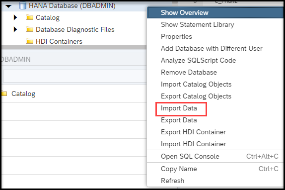 Showing input data link in database explorer.