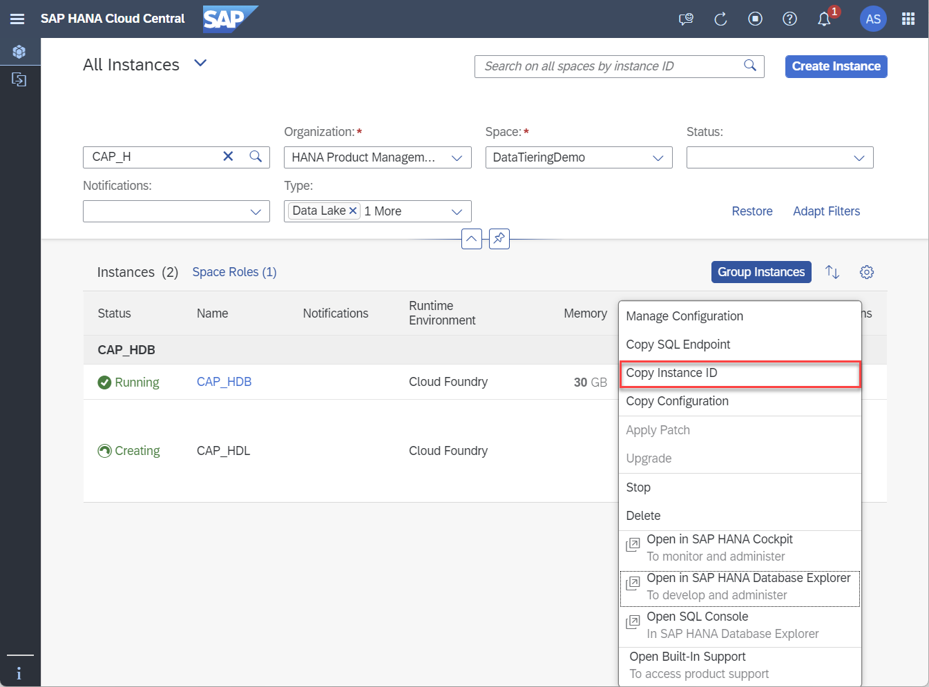 copy-instance-id