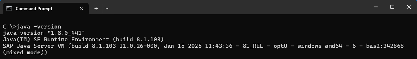 Java version