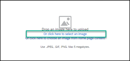 Empty image widget