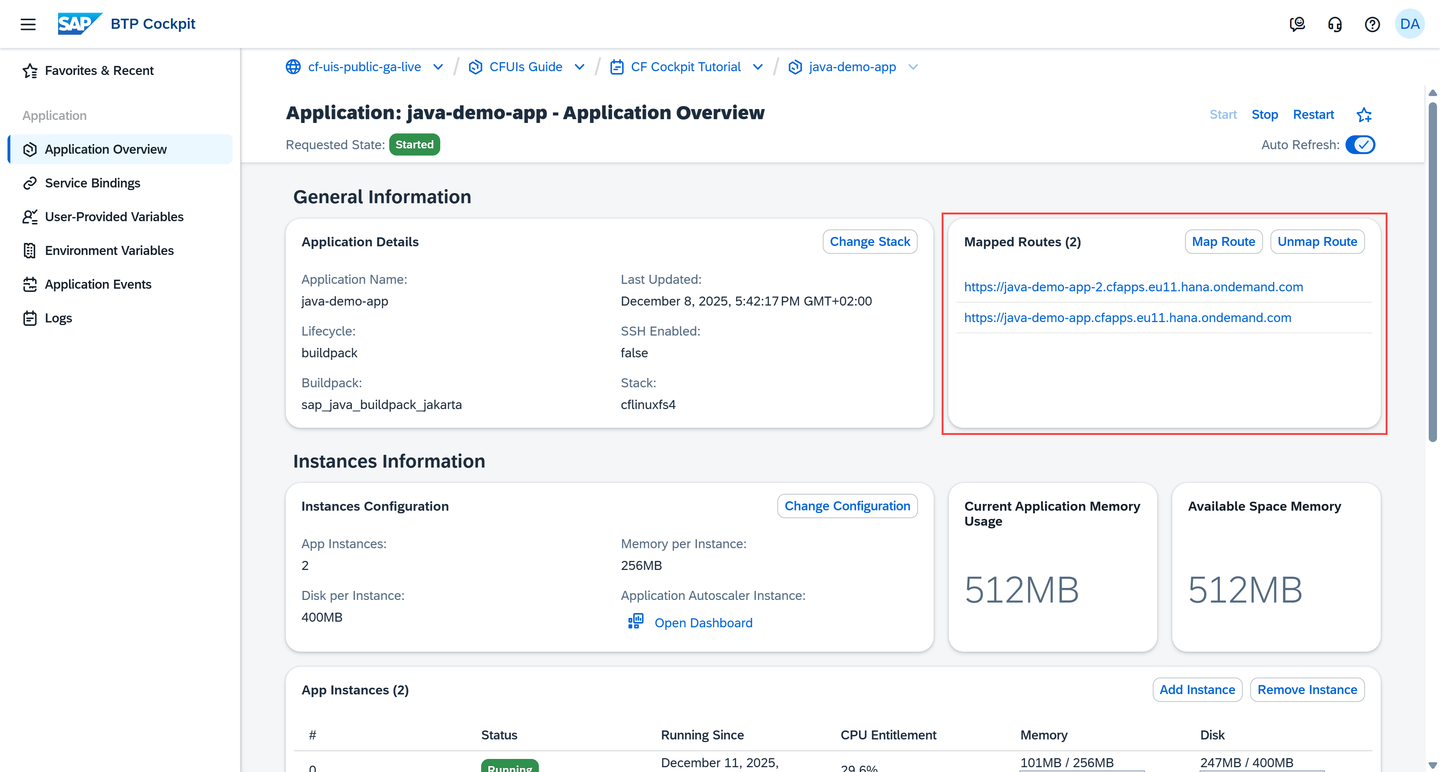 Go to Application Overview and Click the App URL